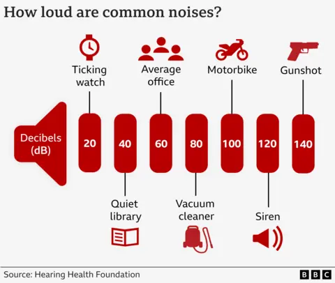 Graphic plan  showing decibel standard  - Ticking ticker  20dB; Library 40 dB; Office 60 dB; vacuum cleaner 80 dB; motorbike 100 dB; Siren 120 dB; Gunshot 140 dB