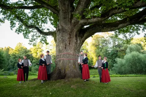 Agnis Melderis Oak biasa berdiri di lanskap hijau yang subur, batangnya yang besar dikelilingi oleh tali. Sekelompok orang dengan pakaian tradisional Latvia memegang tali, secara simbolis merangkul pohon kuno.