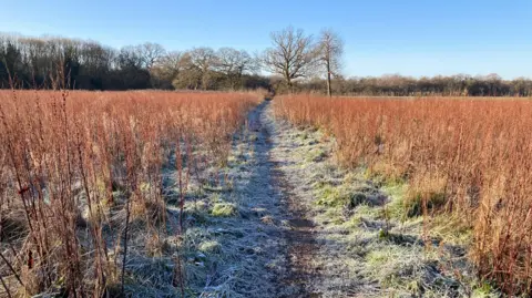 Sonning Common, South Oxfordshire with frost on the ground and clear blue skies above.