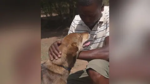 A man crouches down and strokes a dog with light brown fur.