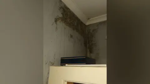 Submitted Mould in the corner of a wall above a white wooden cupboard. There is a white ceiling.