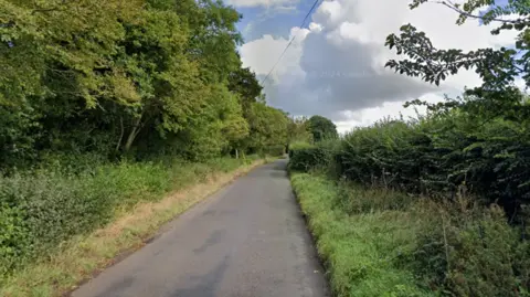 A country road with grass and bushes lining it.