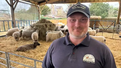 Church Farm Rare Breeds Centre Daniel Holliday, wearing a blue baseball cap and blue polo shirt, both branded Church Farm Stow Bardolph Rare Breeds Centre, is standing in a barn with sheep in an enclosure eating hay baled in the middle of the shed, with straw covering the floor.