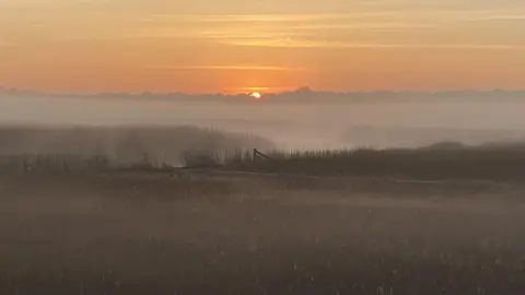 The sun is seen rising over the reedbeds at Snape in Suffolk. It is low on the horizon but the sky is already quite light and the reed heads are glowing in the sun. There is a fence visible in the middle of the picture and white steam is coming off the River Alde