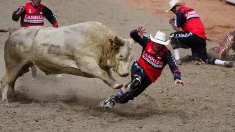 Reuters An image showing a bull rider being run over by the bull at an event in the Calgary Stampede. The bullrider is wearing red and black, with a white cowboy hat.