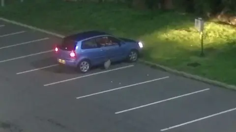 East Riding of Yorkshire Council CCTV footage of rubbish being dropped