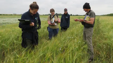 Countryside Regeneration Trust Four people in a field carrying out a survey of flora. The grass is knee-high and there are wildflowers dotted about within it. The four people - two men and two women - carry clipboards to record the results.