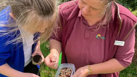 A woman wearing a maroon fleece and polo shirt is showing seeds in a tupperware to a young girl. The girl is wearing a white T-shirt and a blue cardigan and is looking at the seeds and holding a little flower pot with some soil in. 