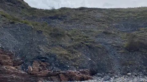 Geckoella Landslip on the cliffside