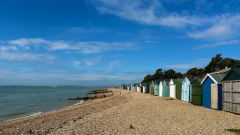 Frances Timms  SATURDAY - Lee-on-the-Solent