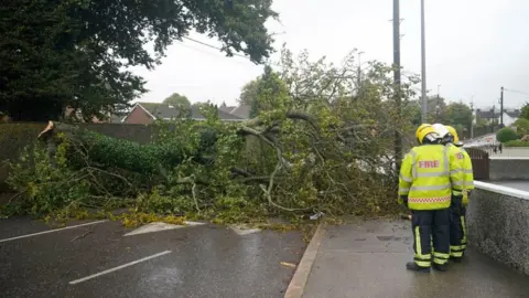 PA Media Emergency services at the scene of a fallen tree near Blackrock in Cork