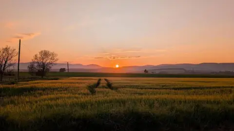 Alex Orr A vibrant sunset casts warm colours over a field, with a winding road visible in the background.