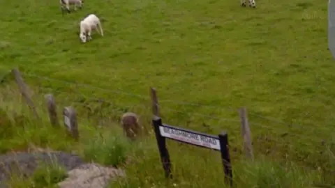 Google Street View beaghmore road