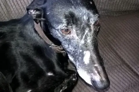 Northumbria Police Jet with scarred face