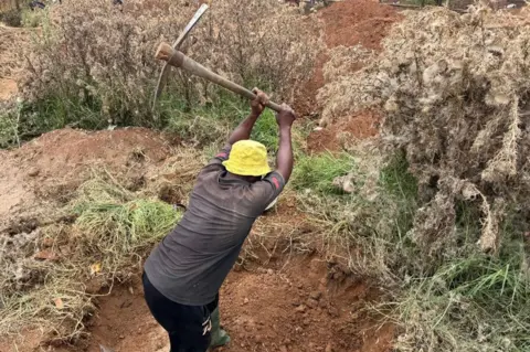 Thuthuka Zondi/BBC Back view of a man in a yellow hat holding a pickaxe aloft digging in an old cattle field