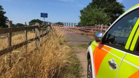 Cattle bridge closed by the crash