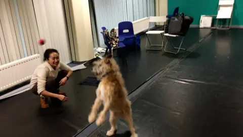 A student playing with a dog and ball