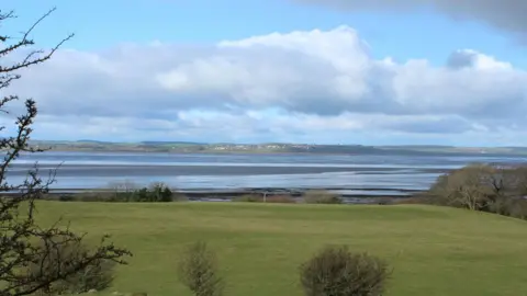 A view across Wigtown Bay in the south of Scotland with grass and trees in the foreground and low water in the distance