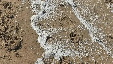 South Tyneside Council Hundreds or even thousands of tiny white plastic pellets on a beach. Seen from above they look like a spillage of little white pills, polystyrene balls or fake snow. There are footprints in the sand and some of the pellets are on the surface of the sand, while others are buried into the footprints.