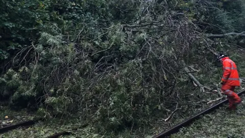 Network Rail Fallen tree on railway tracks at Gomshall in Surrey