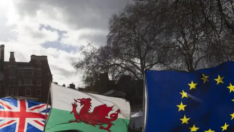 Getty Images EU flags outside parliament