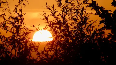 Fen Lass/BBC Weather Watchers Sunrise at Waterbeach, Cambridgeshire