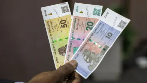 Zimbabwe's new ZiG currency.