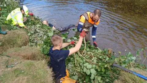 River Hayle