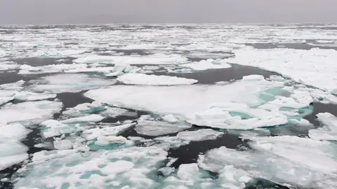 Getty Images Arctic sea ice