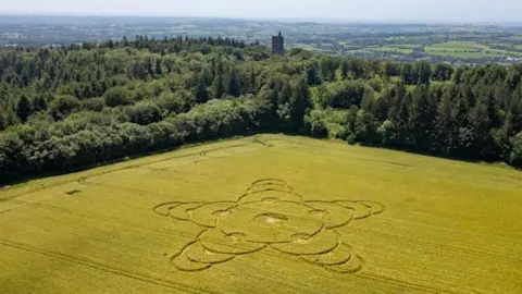 StillPho ToMalone A view from above a crop circle shaped like a flower. There's woods and a church in the background.