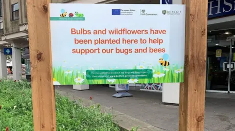Alex Pope/BBC A sign, in the middle of Bedford, showing a place for bugs and bees, there are plants growing, by a pavement. 