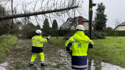 PA Media Two NIE engineers in reflective jackets and hard hats stand with their backs turned to the camera. One is pointing to a large tree which has fallen to the side near a power line.