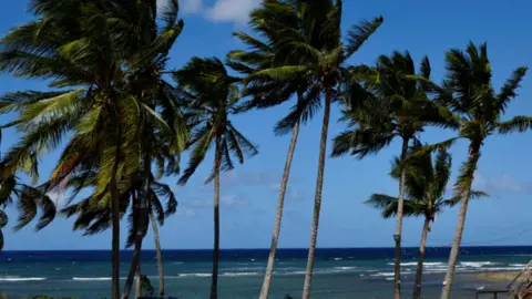 Image of a sandy beach in Playa Baracoa, Cuba. There are blue skies, palm trees and calm seas with gentle waves rolling ashore.