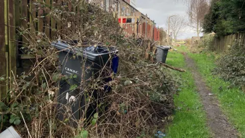 A black wheelie bin with brambles grown over the top of it in the alleyway.