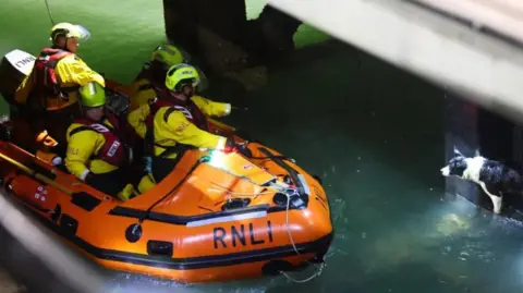 Orange RNLI lifeboat with two men onboard - one if holding his hand out towards a wet black and white dog standing on the edge of a pier with sea lapping at its legs.