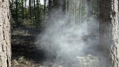 Nottinghamshire Fire and Rescue Service Smoke in woodland in Rainworth, Nottinghamshire