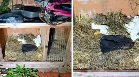 South Yorkshire Police Firearm wrapped in black cloth in a garden rabbit hutch - with a bike parts on top, a green dandelion and other plants to the side and in front, and straw under the firearm