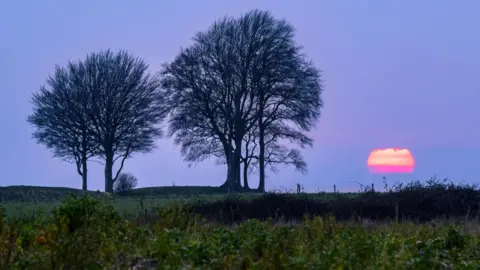 BBC Weather Watchers/Sonia Two trees with a red sun on a dark blue sky behind it