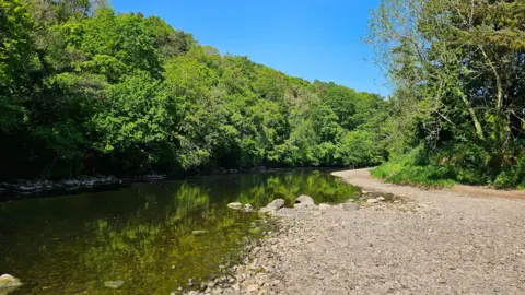 A low river in Ayr.