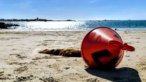 A red buoy lies on the sand of a beach in Guernsey on a sunny day. A patch of seaweed is close to the buoy.