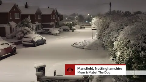 BBC Weather Watchers / Mum & Mabel The Dog Image of a snowy road at dusk