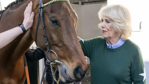 PA Media Camilla horse