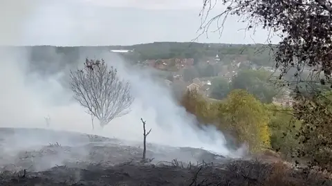 Smoke is billowing from an area of scrubland, with ash covering much of the area in the foreground of the photo. In the distance are rows of houses and green trees.