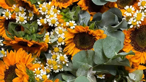 Jamie Kelly Sunflowers, with short deep yellow petals and rich brown disks, stand otu among white and yellow daisies ad green leaves. 