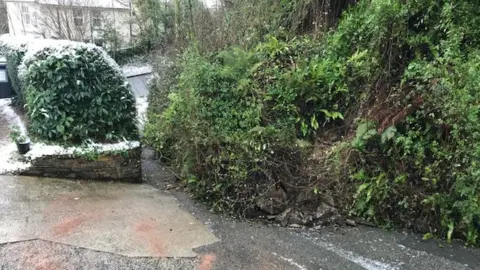 Richard Bower landslip