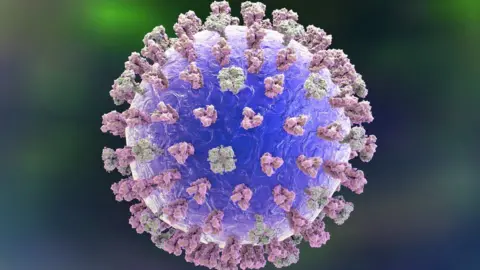 Getty Images Flu virus