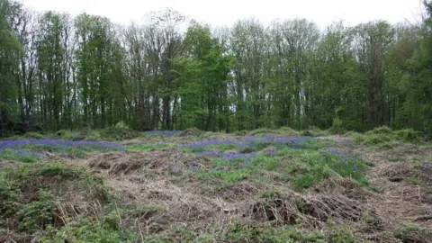 Burial mounds at Heath Wood as they look today