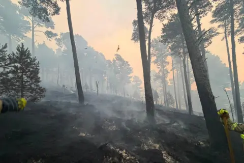 Thurso Community Fire Station Smoke rises from fire-damaged ground and trees in the Cairngorms.