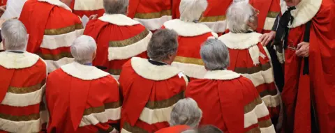 AFP Peers sitting in the House of Lords