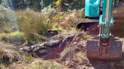 RSPB A small mechanical digger next to a newly-constructed leaky dam made of large logs